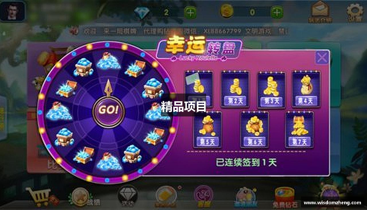 精品项目